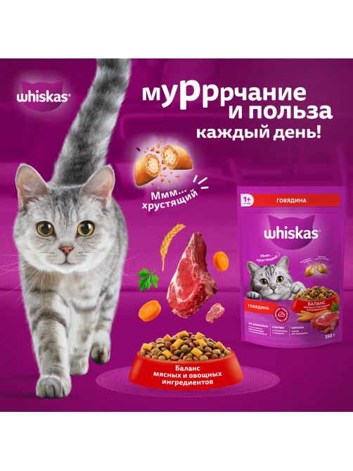 Корм сухой Whiskas Вкусные подушечки для взрослых кошек с говядиной, 5кг