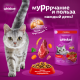 Корм сухой Whiskas Вкусные подушечки для взрослых кошек с говядиной, 5кг