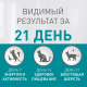 Корм сухой Purina One для взрослых кошек для здоровья кожи и шерсти с курицей и цельными злаками, 750г x 8 шт