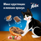Корм сухой Felix Двойная вкуснятина для взрослых кошек с птицей, 600г