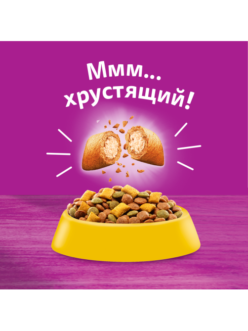 Корм сухой Whiskas Вкусные подушечки с нежным паштетом для взрослых кошек из курицы и индейки, 800г