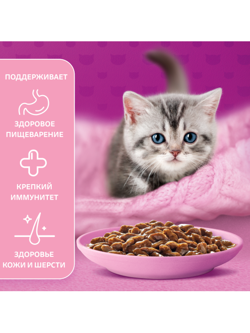 Корм влажный Whiskas рагу для котят до 12 месяцев с ягненком, 75г