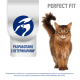 Корм влажный Perfect Fit для котят курица, 75г x 28 шт