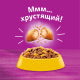 Корм сухой Whiskas для стерилизованных кошек и котов курица в подушечках, 800г