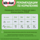 Корм влажный Kitekat для взрослых кошек с рыбой в соусе, 85г x 28 шт