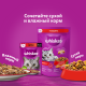 Корм сухой Whiskas Вкусные подушечки с нежным паштетом для взрослых кошек из говядины, 350г