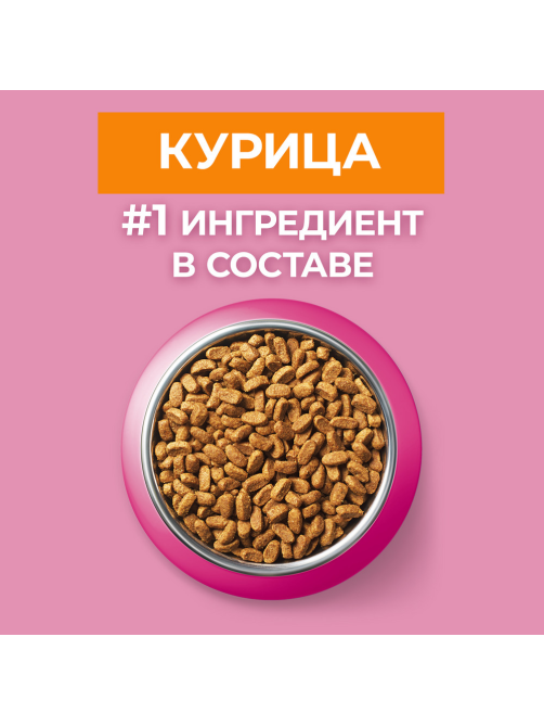 Корм сухой Purina One для котят от 1 до 12 месяцев с курицей, 750г