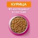Корм сухой Purina One для котят от 1 до 12 месяцев с курицей, 750г