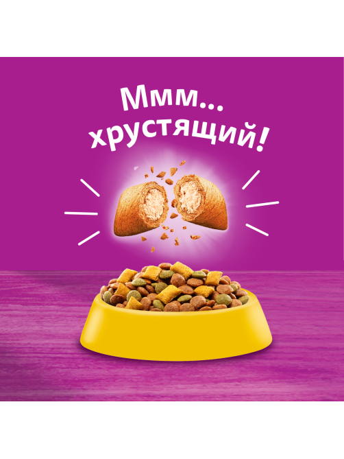 Корм сухой Whiskas Вкусные подушечки с нежным паштетом для взрослых кошек из курицы и индейки, 350г