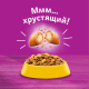 Корм сухой Whiskas Вкусные подушечки с нежным паштетом для взрослых кошек из курицы и индейки, 350г