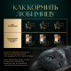 Корм влажный Sheba для кошек Ломтики в соусе с телятиной и языком, 75г
