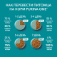 Корм сухой Purina One для стерилизованных кошек и кастрированных котов с курицей и цельными злаками, 750г х 8 шт