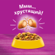 Корм сухой Whiskas Аппетитное ассорти Вкусные подушечки для взрослых кошек паштет с курицей и индейкой, 13.8кг