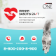 Корм для кошек Purina One влажный индейка и утка с морковью, 75г
