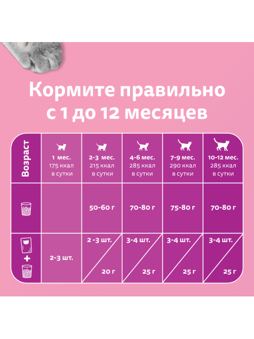 Корм влажный Whiskas рагу для котят до 12 месяцев с курицей, 75г