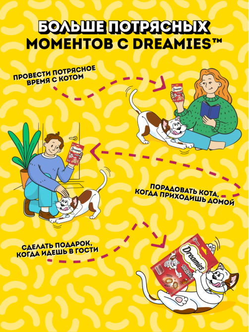 Лакомство Dreamies для взрослых кошек с индейкой, 60г