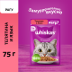 Корм влажный Whiskas для кошек телятина-язык рагу, 75г