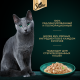 Корм влажный Sheba Craft Collection Сочные слайсы Курица в соусе для взрослых кошек, 75г