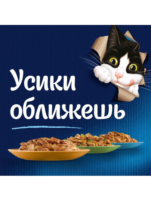 Корм влажный Felix Sensations для взрослых кошек с говядиной в соусе с томатами, 75г x 26 шт