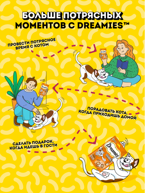 Лакомство Dreamies Лакомые подушечки для взрослых кошек с курицей, 60г