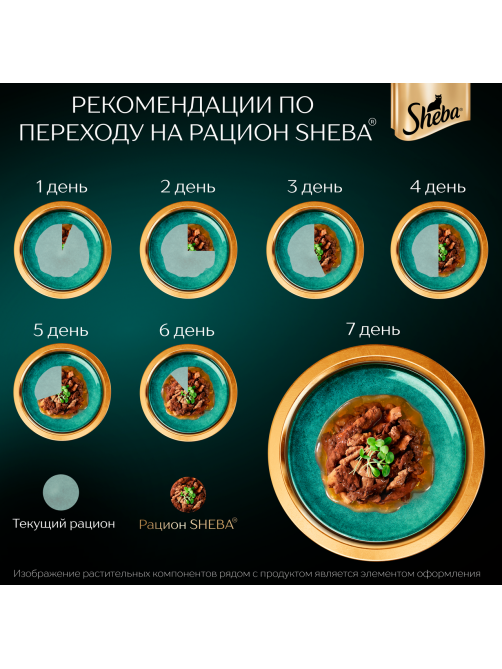 Корм влажный Sheba для кошек Ломтики в соусе с форелью и креветками, 75г x 28 шт