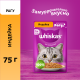 Корм влажный Whiskas для кошек индейка рагу, 75г