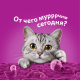 Корм влажный Whiskas для кошек белая рыба-креветка-овощи желе, 75г