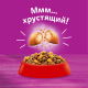 Корм сухой Whiskas Вкусные подушечки для взрослых кошек с говядиной, 5кг