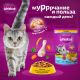 Корм сухой Whiskas для стерилизованных кошек и котов курица в подушечках, 800г