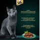 Корм влажный Sheba для кошек Ломтики в соусе с говядиной и кроликом, 75г