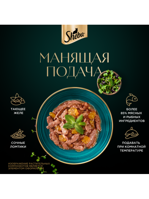 Корм влажный Sheba для взрослых кошек ломтики в желе с форелью, 75г