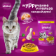 Корм сухой Whiskas Вкусные подушечки с нежным паштетом для взрослых кошек из курицы и индейки, 350г