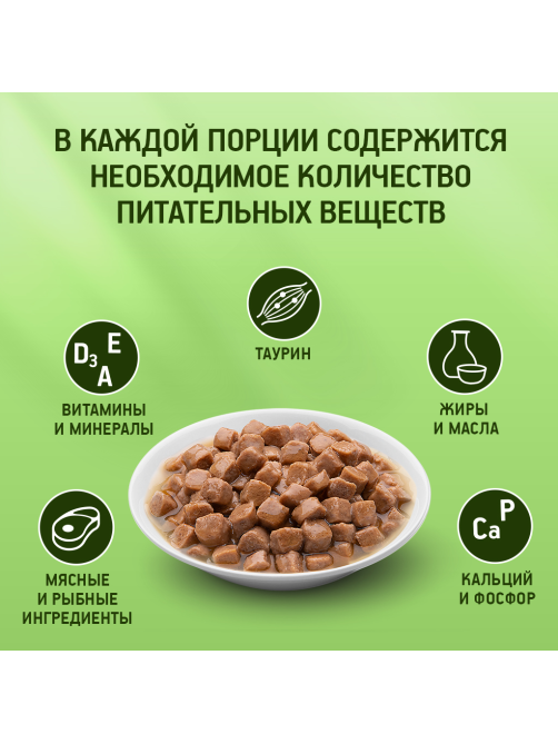 Корм влажный Kitekat для взрослых кошек с рыбой в соусе, 85г