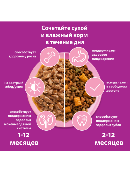 Корм влажный Whiskas рагу для котят до 12 месяцев с курицей, 75г