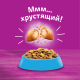 Сухой корм Whiskas для кошек лосось, 1.3кг
