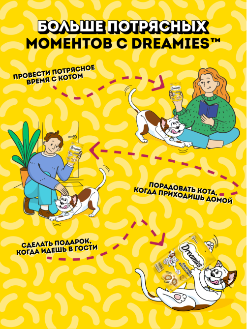 Лакомство Dreamies Лакомые подушечки для взрослых кошек с сыром, 60г