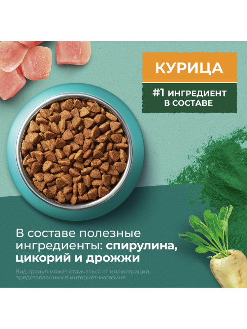 Корм сухой Purina One Природа Здоровья для взрослых кошек со спирулиной с высоким содержанием курицы, 680г