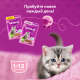 Корм влажный Whiskas рагу для котят до 12 месяцев с курицей, 75г