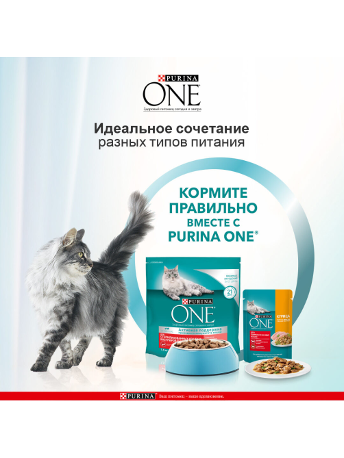 Корм сухой Purina One для стерилизованных кошек и кастрированных котов с высоким содержанием лосося, 750г х 8 шт