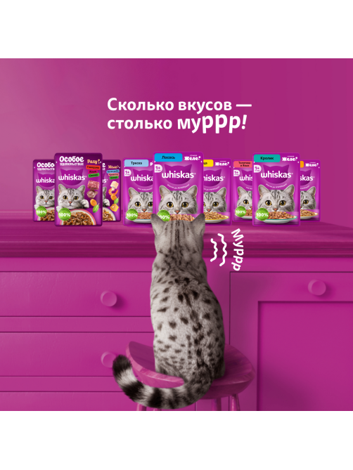 Корм влажный Whiskas желе для взрослых кошек с лососем, 75г