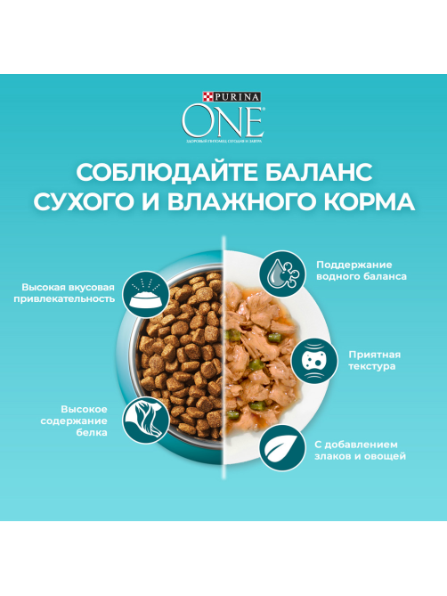 Корм сухой Purina One для взрослых кошек при чувствительном пищеварении с индейкой и рисом, 750г