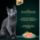 Корм влажный Sheba для кошек Ломтики в соусе с форелью и креветками, 75г