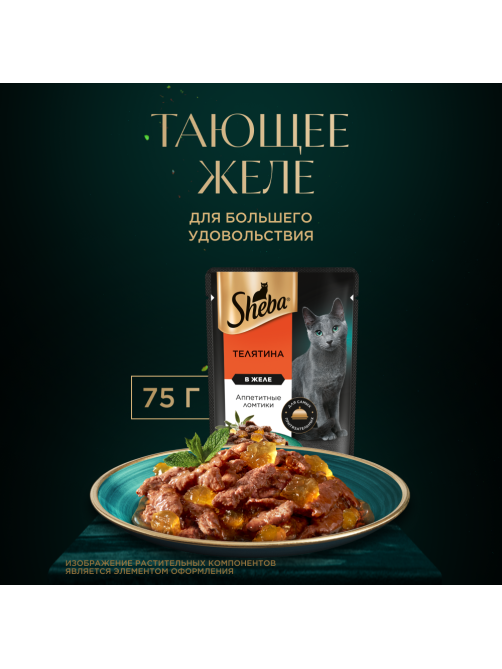 Корм влажный Sheba для взрослых кошек ломтики в желе с телятиной, 75г