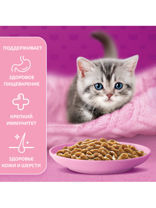 Корм влажный Whiskas рагу для котят до 12 месяцев с курицей, 75г