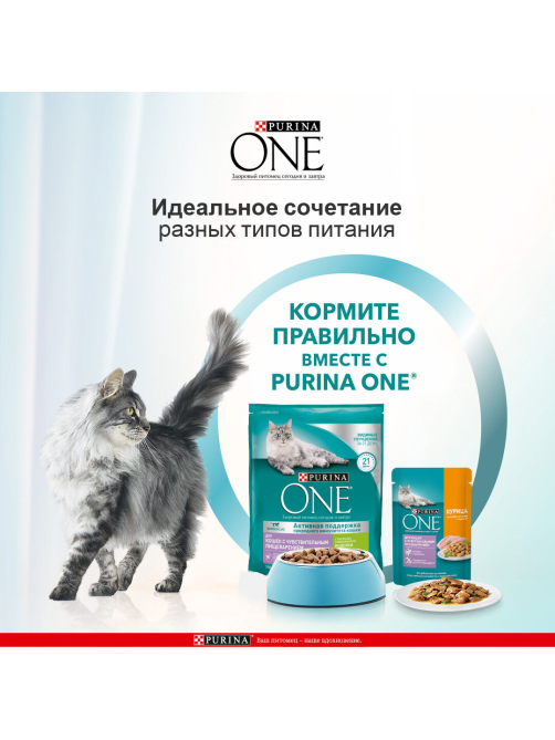Корм сухой Purina One для взрослых кошек при чувствительном пищеварении с индейкой и рисом, 750г x 8 шт
