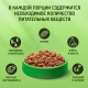 Корм сухой Kitekat для кошек телятинка аппетитная, 1.3кг