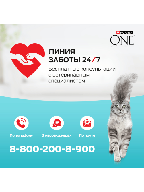 Корм влажный Purina One для кошек при чувствительном пищеварении с курицей и морковью, 75г