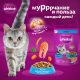 Сухой корм Whiskas для кошек лосось, 1.3кг