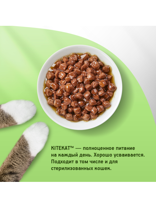 Корм влажный Kitekat соус для взрослых кошек с ягненком, 85г