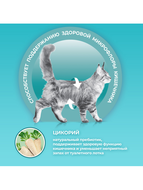 Корм сухой Purina One для взрослых кошек живущих в домашних условиях с индейкой и цельными злаками, 3кг